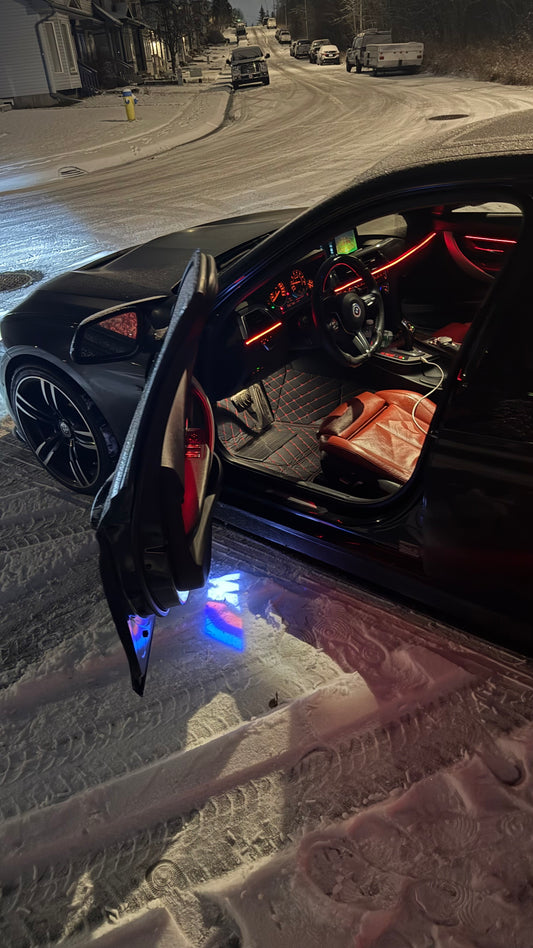 BMW LED Door Welcome Light