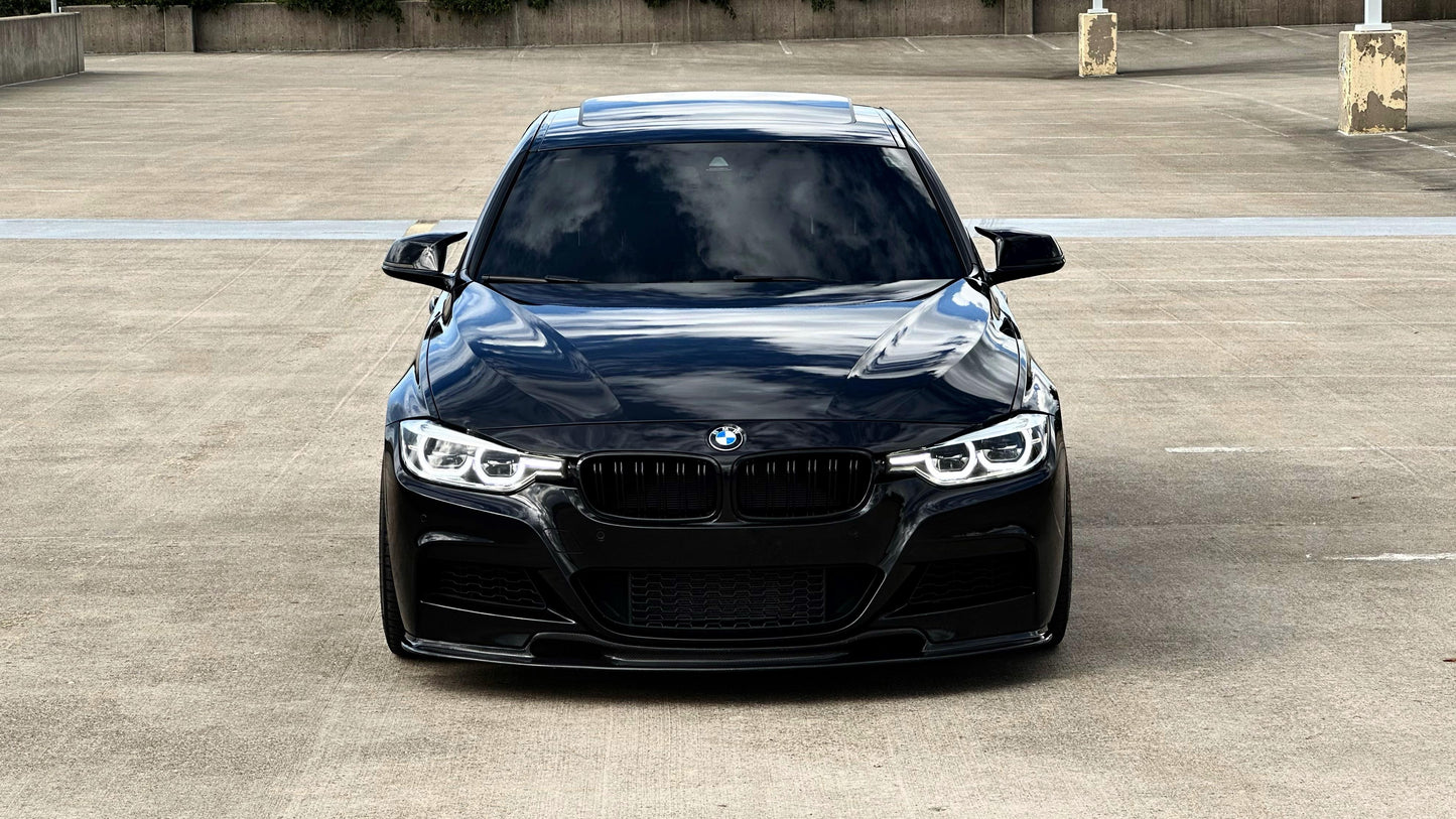BMW F30 Kidney Grill