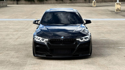 BMW F30 Kidney Grill