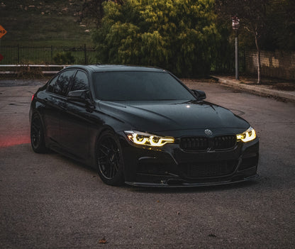 BMW F30 Kidney Grill